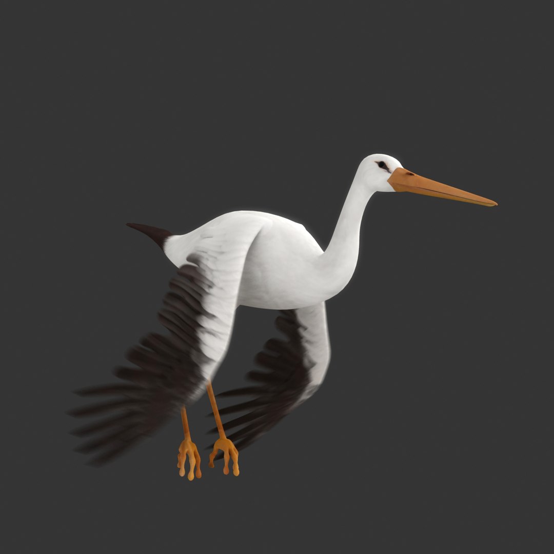 3d Stork Flying Animation Model