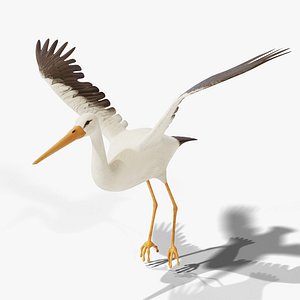 White Stork Flying - Rigged Animated PBR