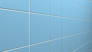 Blue Bath Tiles