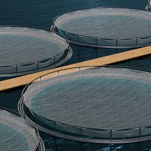 3D model Floating Circular Fish Farm on Water with Walkway