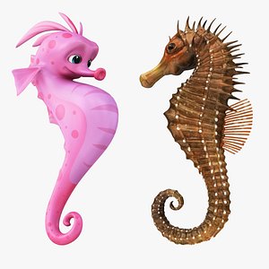 3D Realistic and Cartoon Sea Horse Collection model