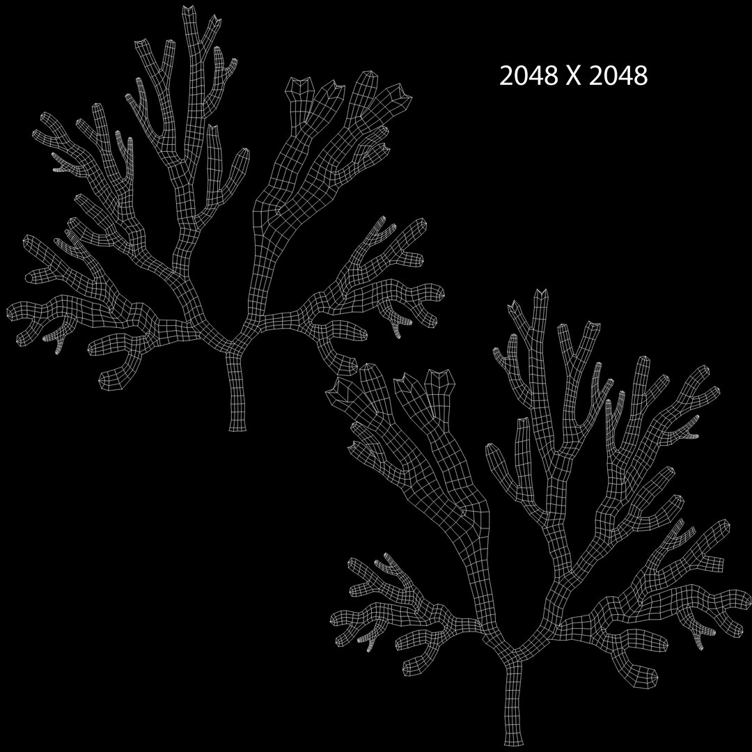 3d model dictyotales brown algae https://p.turbosquid.com/ts-thumb/kR/tHw7L9/L6LwM8ih/dictyota_uv/jpg/1425457730/1920x1080/fit_q87/9818cc58be80a517ead3a1ffc12d76f431dd5454/dictyota_uv.jpg