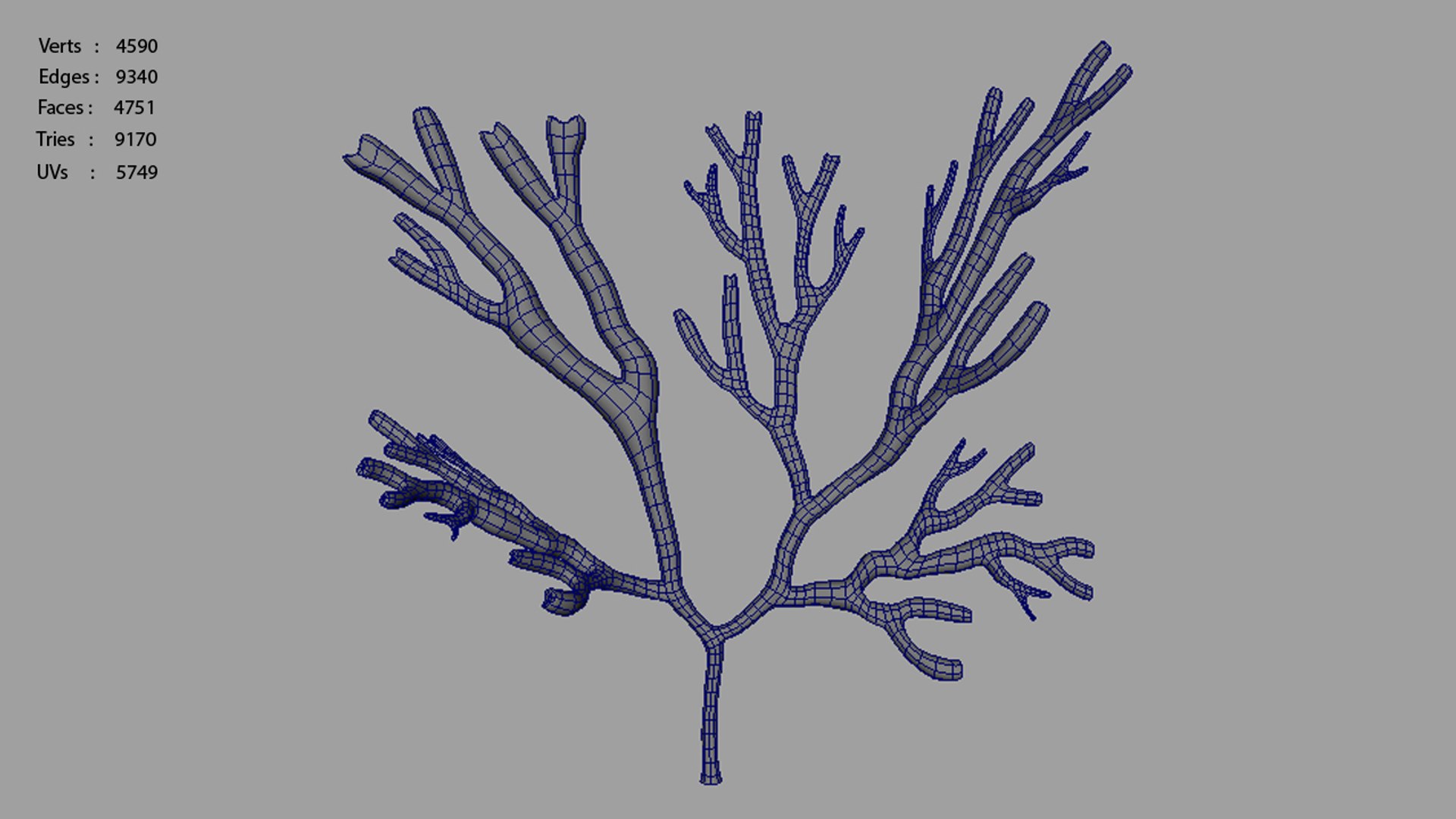 3d model dictyotales brown algae https://p.turbosquid.com/ts-thumb/kR/tHw7L9/Tq5HdSGg/dictyota_polycount/jpg/1425457730/1920x1080/fit_q87/bfcd6d3fce72774a9af39261f04f7d00b46fa1d5/dictyota_polycount.jpg