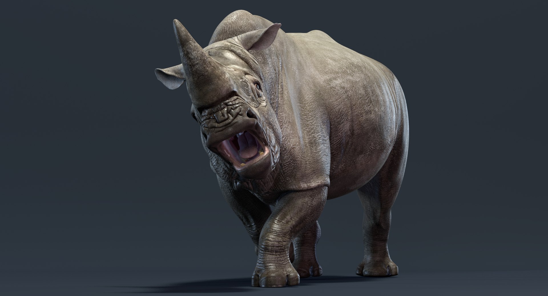 3D big rhino rigged - TurboSquid 1344926