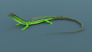 Lizard - Low Poly - Game Ready - PBR - Rigged - PBR
