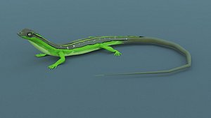 Lizard - Low Poly - Game Ready - PBR - Rigged - PBR