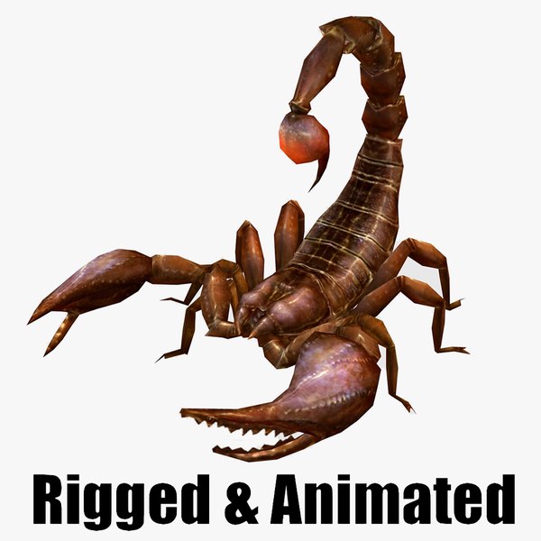 animated scorpion 3D 모델 - TurboSquid 1940226