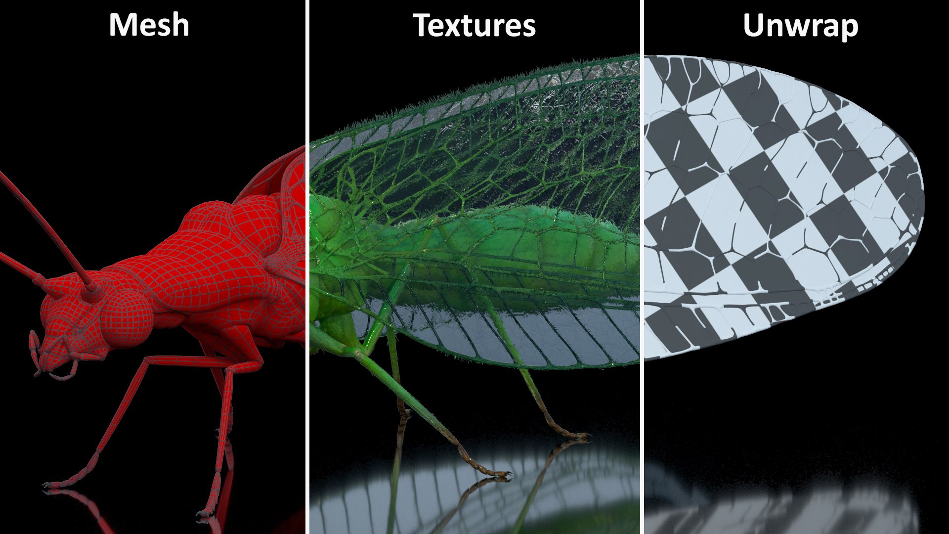 Insect Green Lacewing Fur 3D Model - TurboSquid 2167676