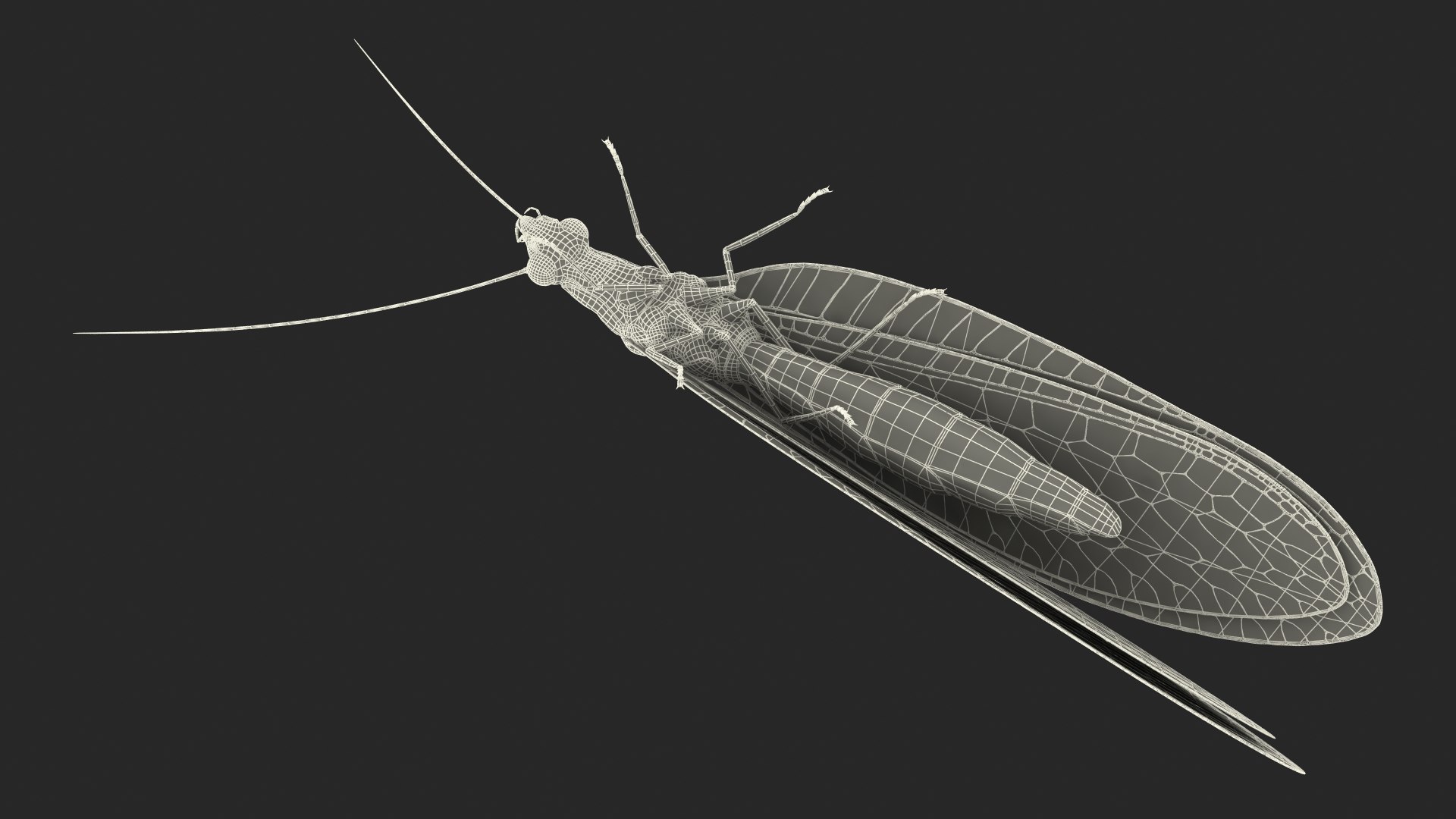 Insect Green Lacewing Fur 3D Model - TurboSquid 2167676