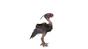 3D Realistic Pack Bird Mount  3D Game Asset