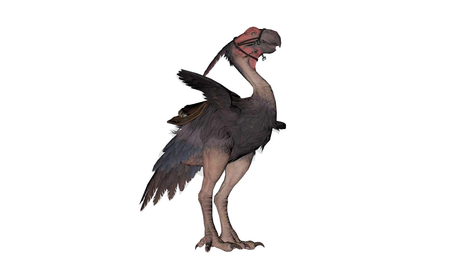 3D Realistic Pack Bird Mount 3D Game Asset - TurboSquid 2375338