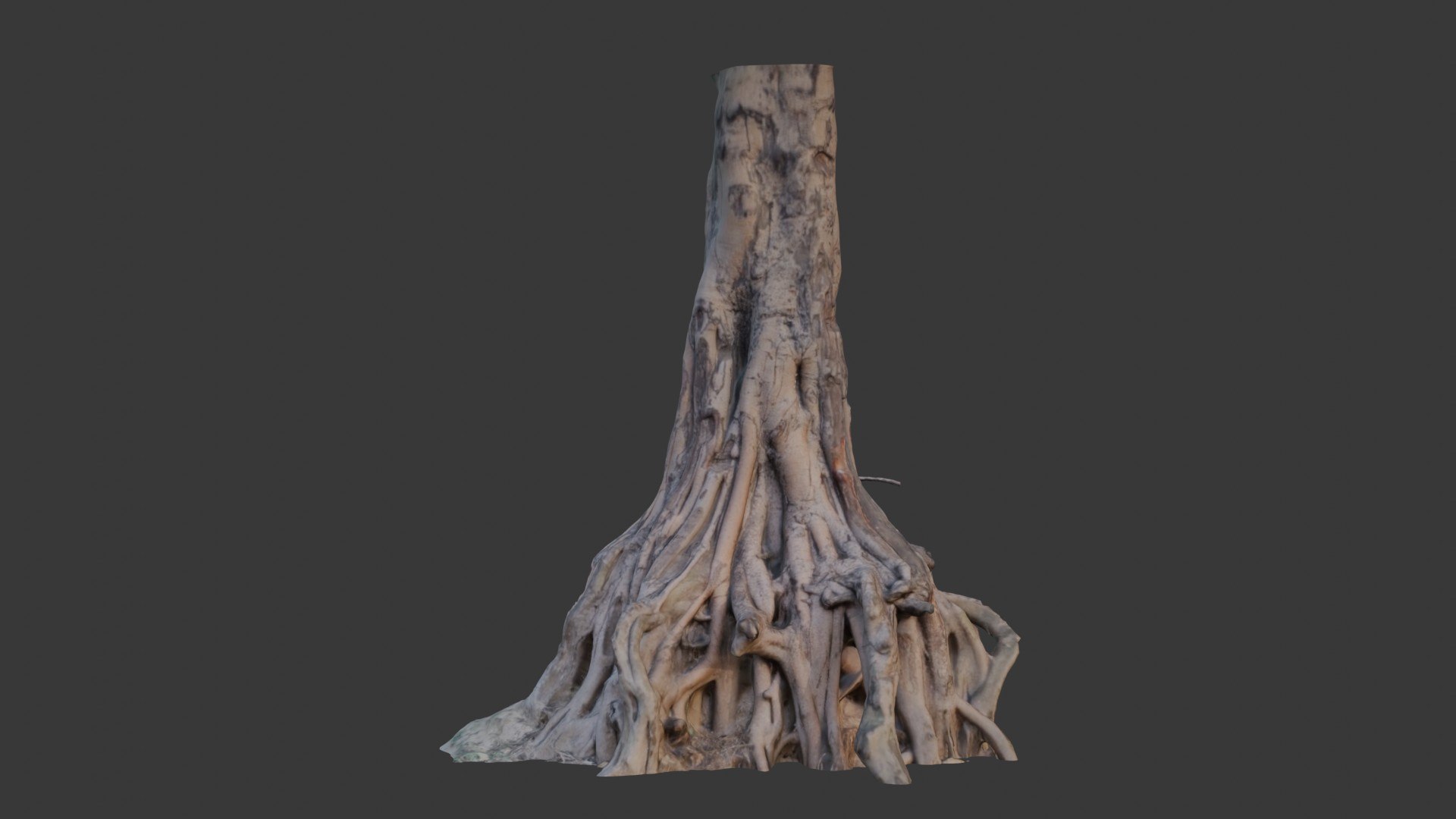 Decorative Plaster Wall Ornament Scan model https://p.turbosquid.com/ts-thumb/kS/X0oONH/9J/1/jpg/1752672740/1920x1080/fit_q87/0177e441fd604a9fffce3aace67523f78b2e01fc/1.jpg