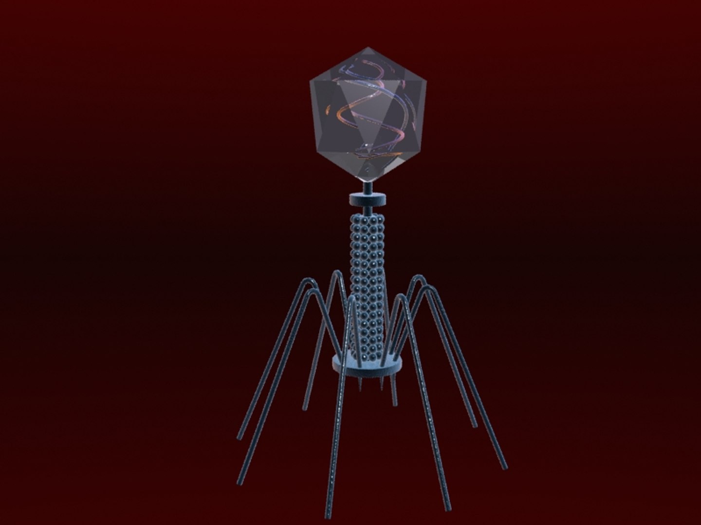 3d bacteriophage virus https://p.turbosquid.com/ts-thumb/kS/bxi9zG/TatGnHGN/t4virus2/jpg/1360463798/1920x1080/fit_q87/abf683eb97d6a245528cef03bd3c11cc14072141/t4virus2.jpg