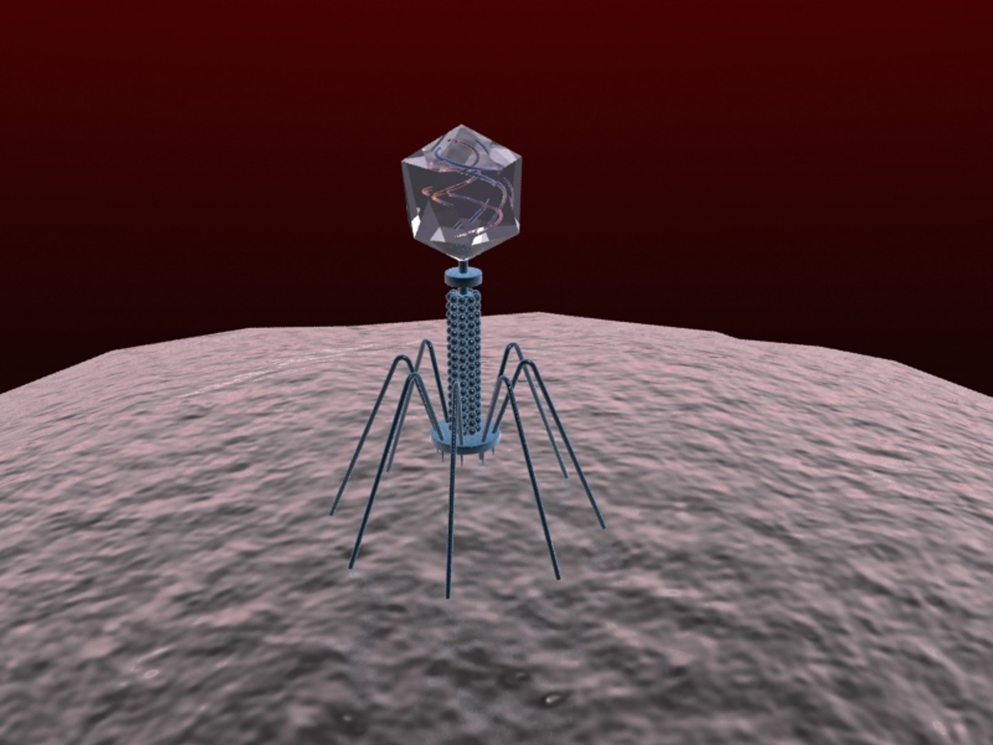 3d Bacteriophage Virus