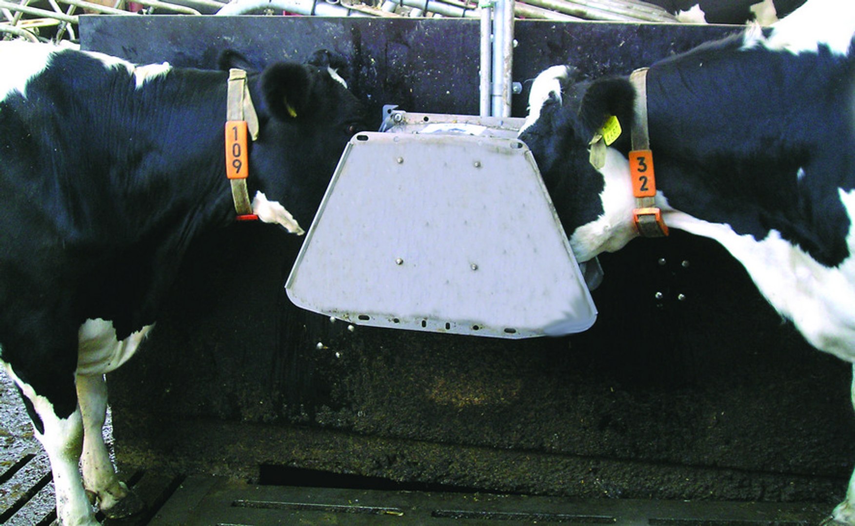 drinker cows 3d max https://p.turbosquid.com/ts-thumb/kS/g4R4bf/eAy1KCrC/869d16deff744842b651ee69cffb2c08/jpg/1454573573/1920x1080/fit_q87/b1262b931459e387e5dc632556c2594a7ecffab7/869d16deff744842b651ee69cffb2c08.jpg