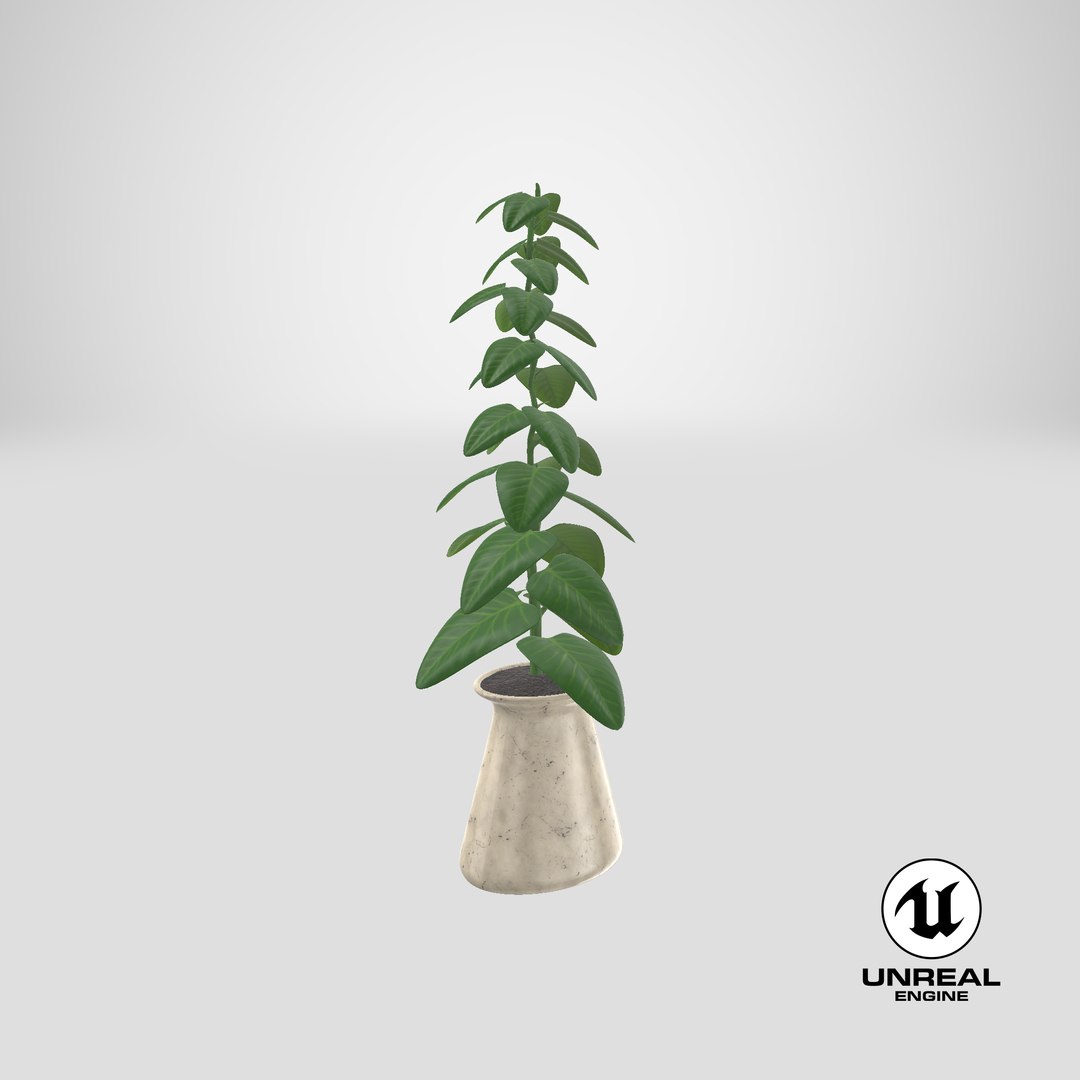 indoor plant model https://p.turbosquid.com/ts-thumb/kS/hxCsIY/73XfXg0F/stemcell_unreal_render/png/1586433955/1920x1080/fit_q87/a0a777ce89f65d2904159b46607605a435335783/stemcell_unreal_render.jpg