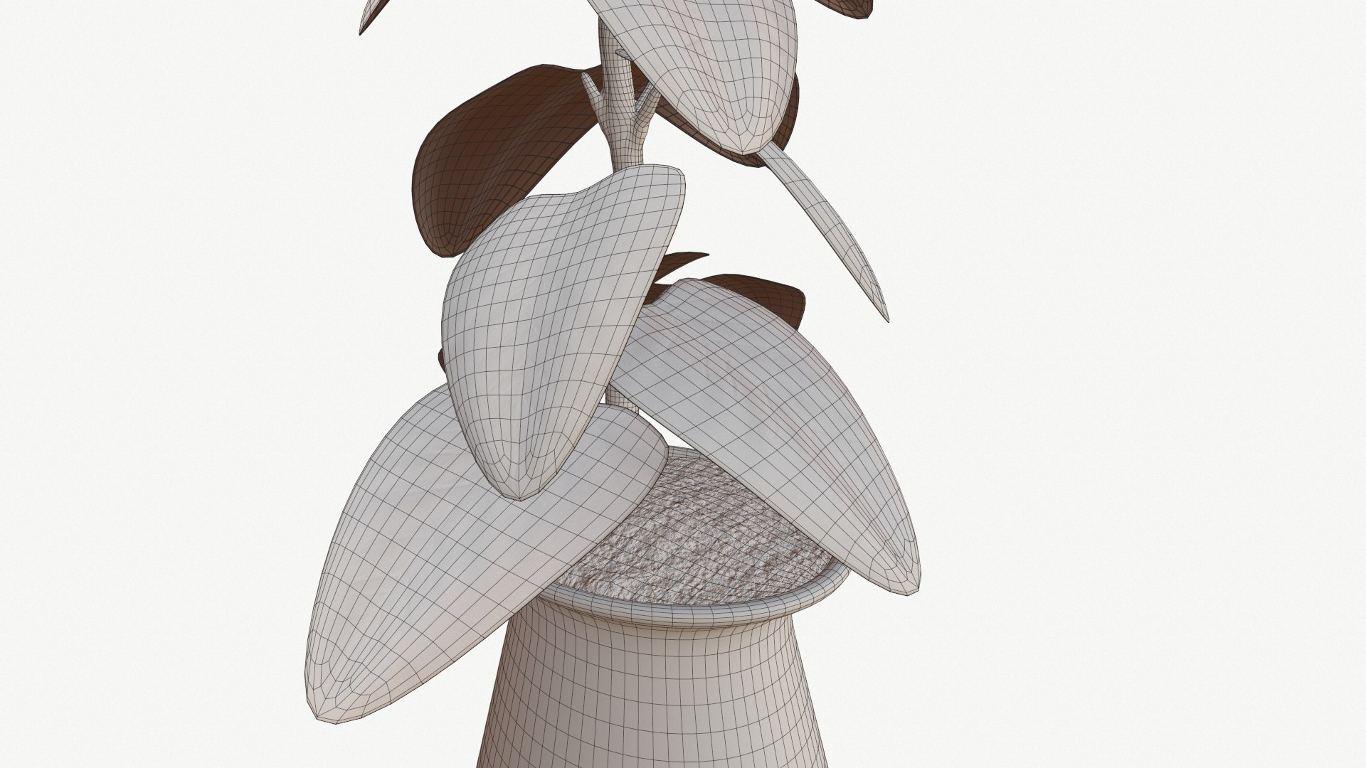 indoor plant model https://p.turbosquid.com/ts-thumb/kS/hxCsIY/EKIi6YWC/screenshot001/png/1586061308/1920x1080/fit_q87/d20c7ab972a3991a58684f74a7951e555ebfec9c/screenshot001.jpg