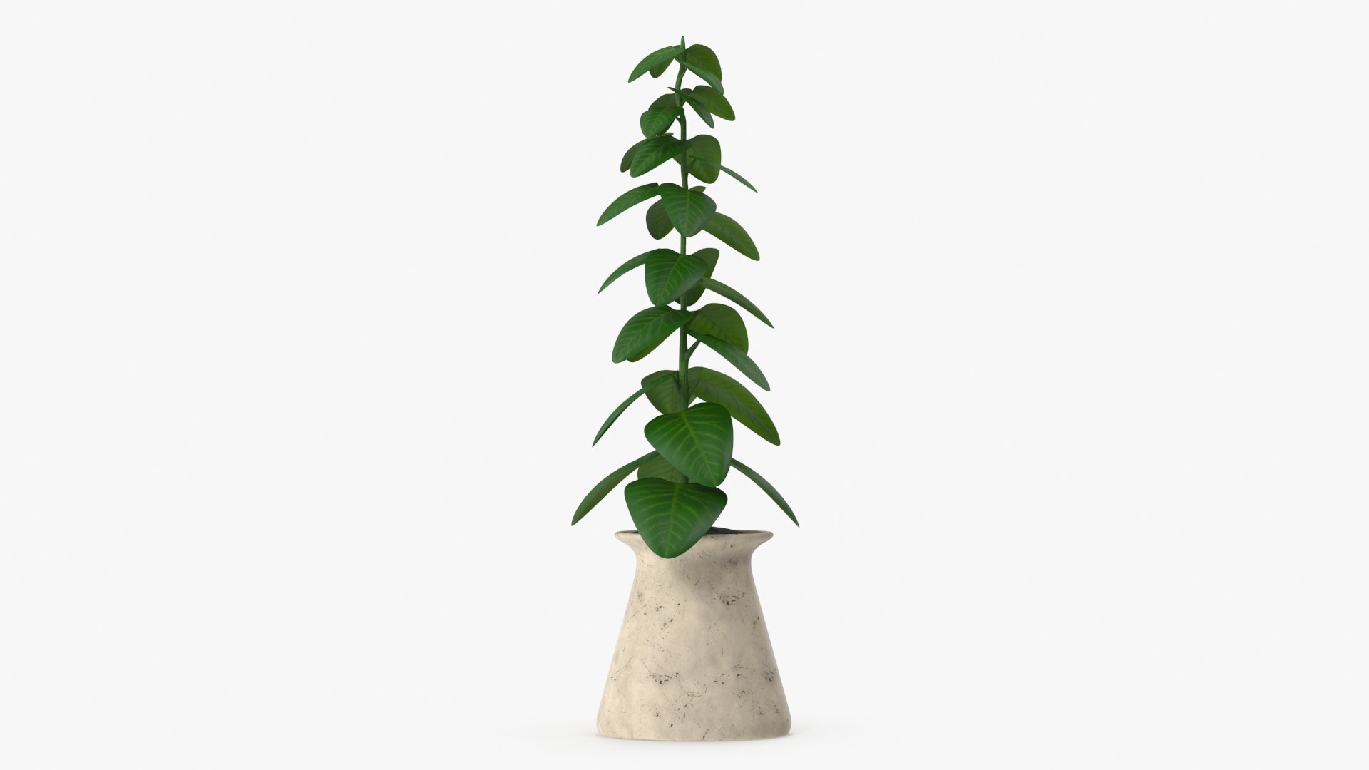 indoor plant model https://p.turbosquid.com/ts-thumb/kS/hxCsIY/HBHFm5Iv/plant_preview0117/jpg/1586044796/1920x1080/fit_q87/c2b4f8248f01821d5d94512ea302f98d419ca8e9/plant_preview0117.jpg