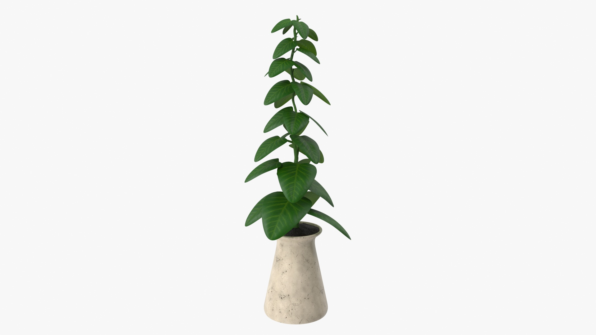 indoor plant model https://p.turbosquid.com/ts-thumb/kS/hxCsIY/h8YNiti8/spin/jpg/1586049124/1920x1080/turn_fit_q99/9933675c1067050ddfaed08bf6ee23c6e23050f2/spin-1.jpg