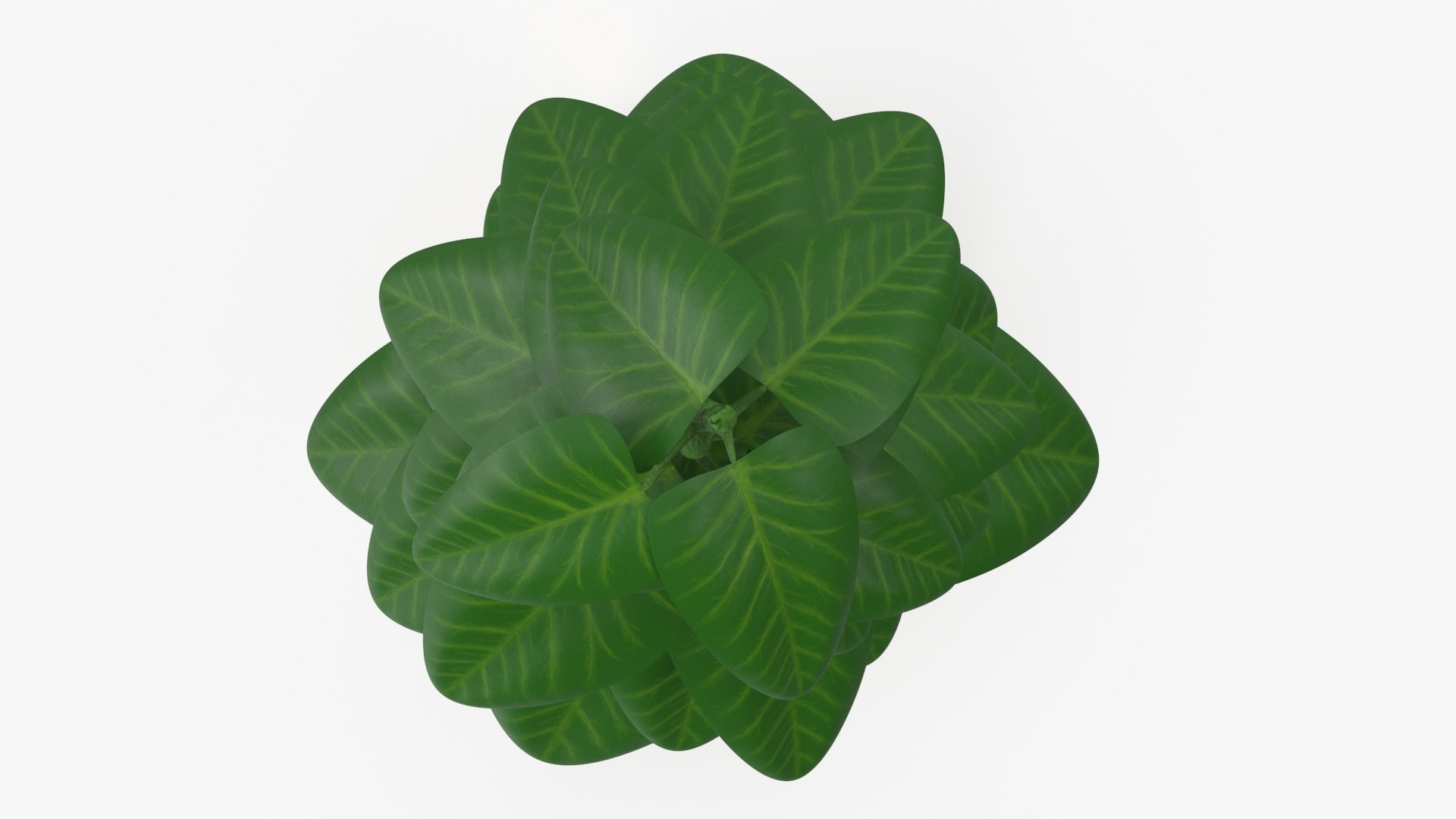 indoor plant model https://p.turbosquid.com/ts-thumb/kS/hxCsIY/pdX3alE0/plant_preview/jpg/1586044832/1920x1080/fit_q87/5e49ac4a2a9469e4e451232dcf022419685448b8/plant_preview.jpg