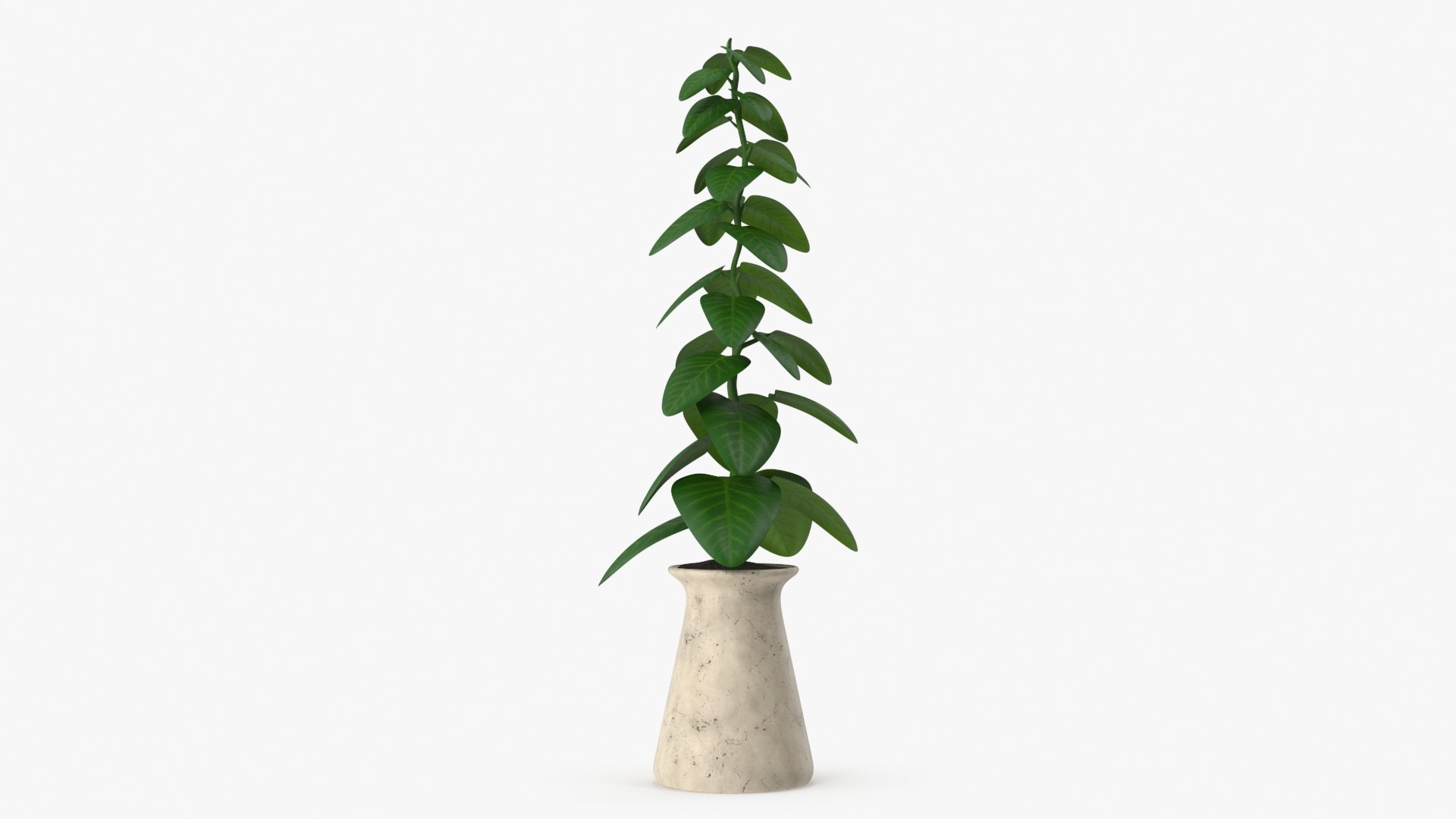 indoor plant model https://p.turbosquid.com/ts-thumb/kS/hxCsIY/qPy0Q3MD/plant_preview0121/jpg/1586044795/1920x1080/fit_q87/d2e8352529ef5b7e91cc54bc846e005186927a67/plant_preview0121.jpg