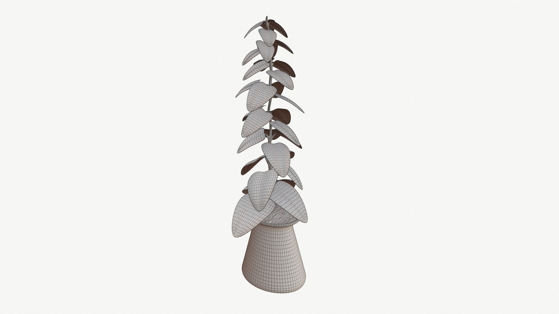 indoor plant model https://p.turbosquid.com/ts-thumb/kS/hxCsIY/uOYHbtjo/screenshot000/png/1586061308/1920x1080/fit_q87/bb13ac6807a15d14852417a4d9e5552df4191e3f/screenshot000.jpg