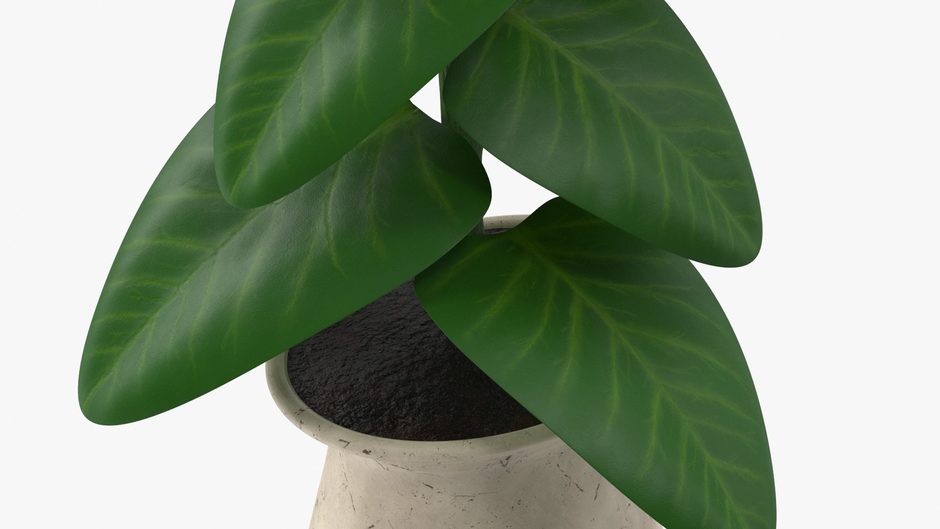 indoor plant model https://p.turbosquid.com/ts-thumb/kS/hxCsIY/zHCV6ZAD/cu_plant/jpg/1586059651/1920x1080/fit_q87/48f9cba1f5190587b0bc8864aadaa1b16198f184/cu_plant.jpg