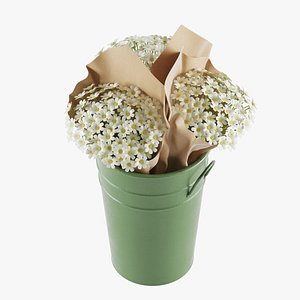 3D Flowers In Bucket 05 model