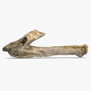 Wood Twig 2