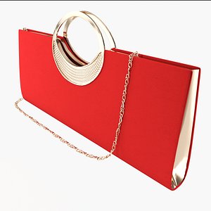 Evening Handbag