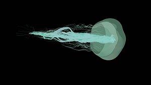 Jellyfish Animation