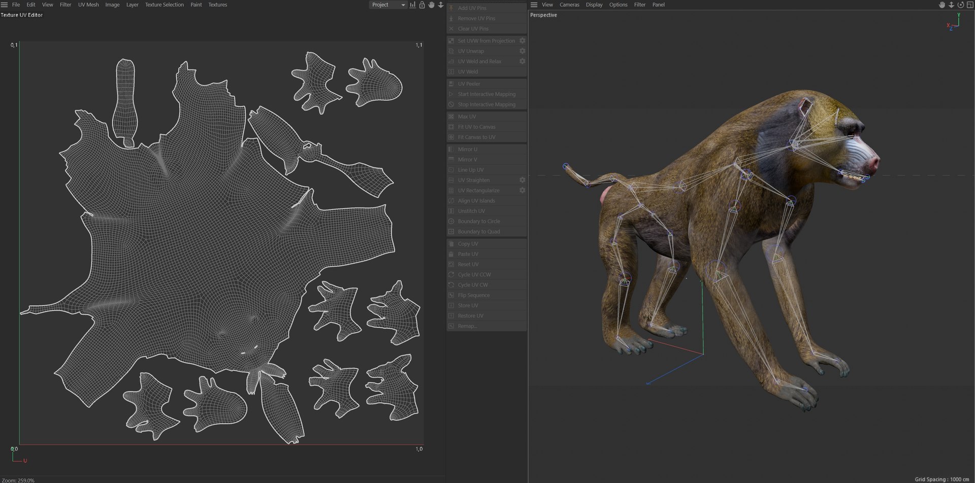 3D Baboon Monkey https://p.turbosquid.com/ts-thumb/kT/AKN2XB/Mt/uv/jpg/1785210626/1920x1080/fit_q87/cce49d04da098e8aebfa1a885dcc13ebcf7747ff/uv.jpg