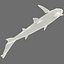 3d model leopard shark