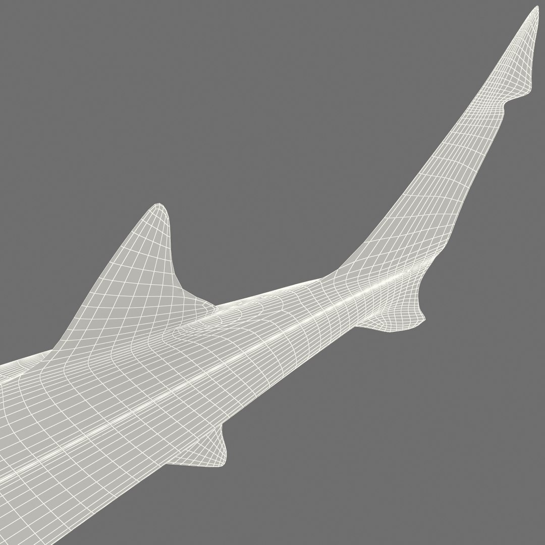 3D Shark Modeling in Blender, Part 01, @3d_animal.factory, Tutorial