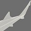 3d model leopard shark