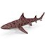 3d model leopard shark