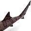 3d model leopard shark