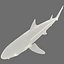 3d model leopard shark