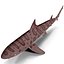 3d model leopard shark