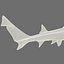 3d model leopard shark