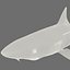 3d model leopard shark