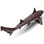 3d model leopard shark
