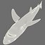3d model leopard shark