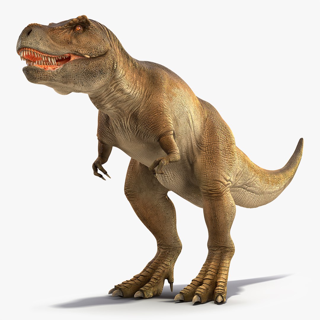 Animated Tyrannosaurus Rex Waiting Rigged for Maya 3D model preview
