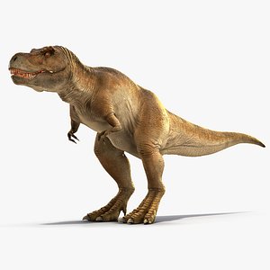 3D tyrannosaurus rex waiting rigged model