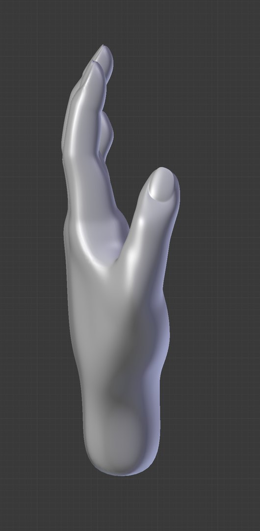 Hand Subdivision 608 Faces 3D - TurboSquid 1386289