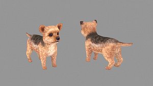 3D model Cartoon pet puppy - Yorkshire - baby dog