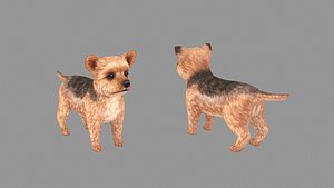 Cartoon pet puppy - Yorkshire - baby dog