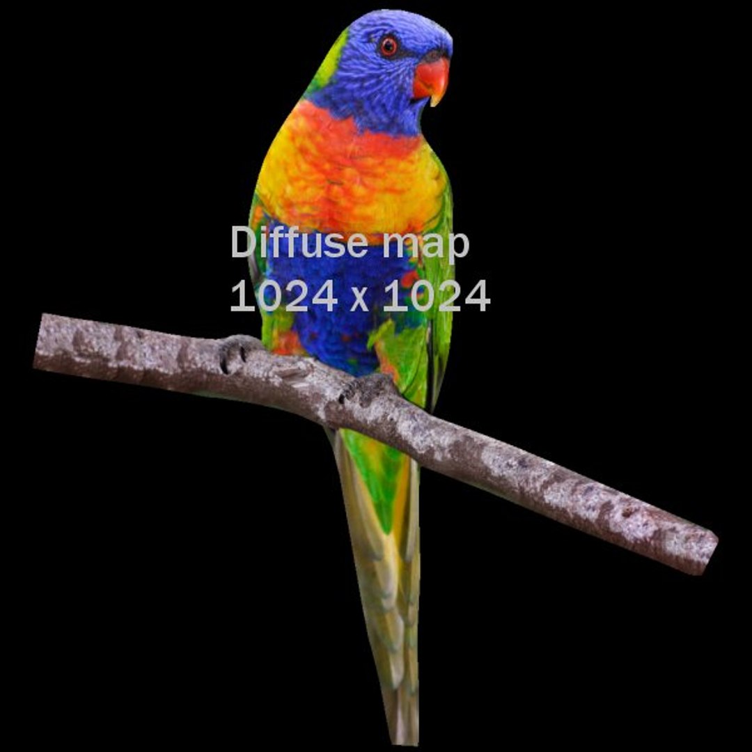 lorikeet fg 3ds https://p.turbosquid.com/ts-thumb/kT/iecZFj/VhZwW9sF/lkeet_xd/jpg/1370125138/1920x1080/fit_q87/b54cabb50a6e135be7d6145fe55970eee9efd419/lkeet_xd.jpg