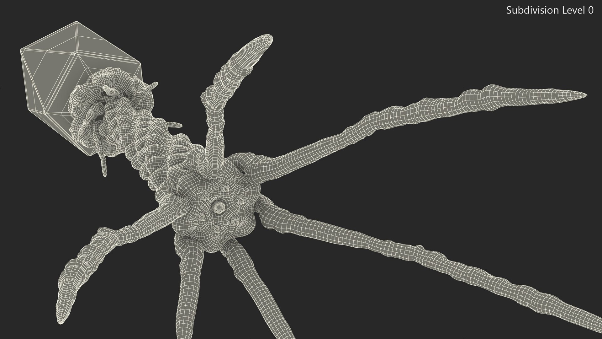 3D Helicobacter Pylori Bacteria with Bacteriophage Virus Animated Rigged model https://p.turbosquid.com/ts-thumb/kT/qS3XL5/4b/helicobacter_pylori_bacteria_with_bacteriophage_virus_animated_rigged_016/jpg/1750903631/1920x1080/fit_q87/8a237620db1f6e8c2b0f8fd980ba3fea8cabfef6/helicobacter_pylori_bacteria_with_bacteriophage_virus_animated_rigged_016.jpg